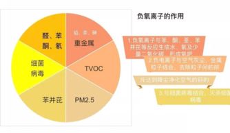 舜明車載空氣凈化器加盟 信息技術咨詢助您精力充沛創(chuàng)業(yè)