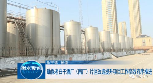 科學統(tǒng)籌與精心勘察 高效推進老白干酒廠南廠片區(qū)改造提升中的文物保護工程